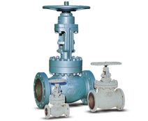 Globe Valves