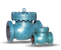 Check Valves